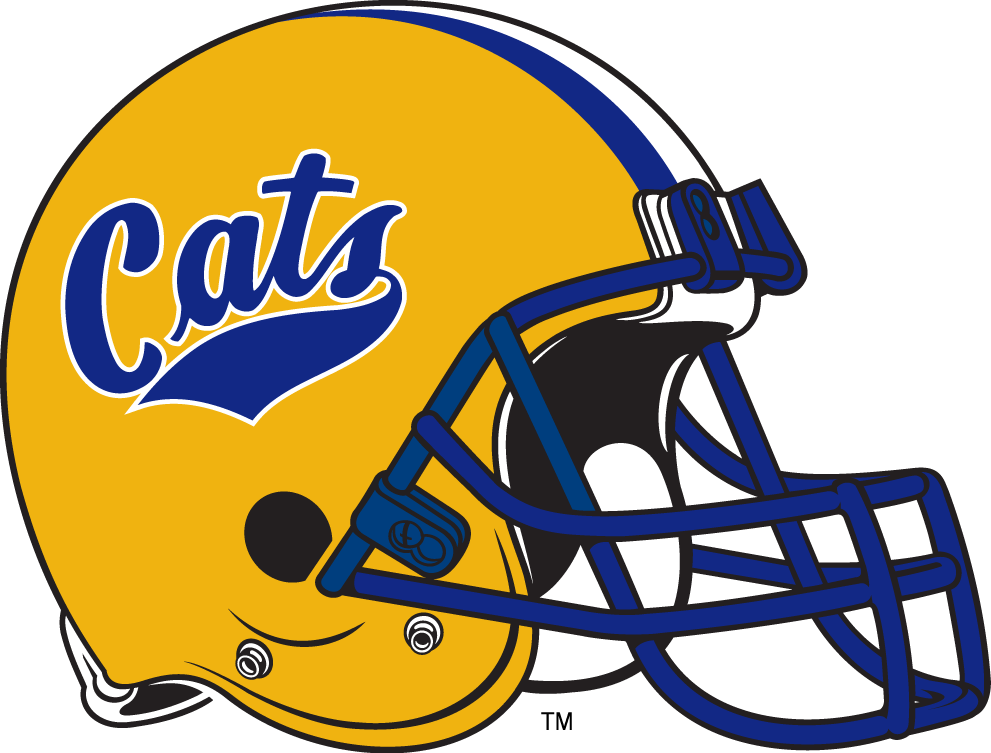 Montana State Bobcats 1984-1990 Helmet Logo DIY iron on transfer (heat transfer)